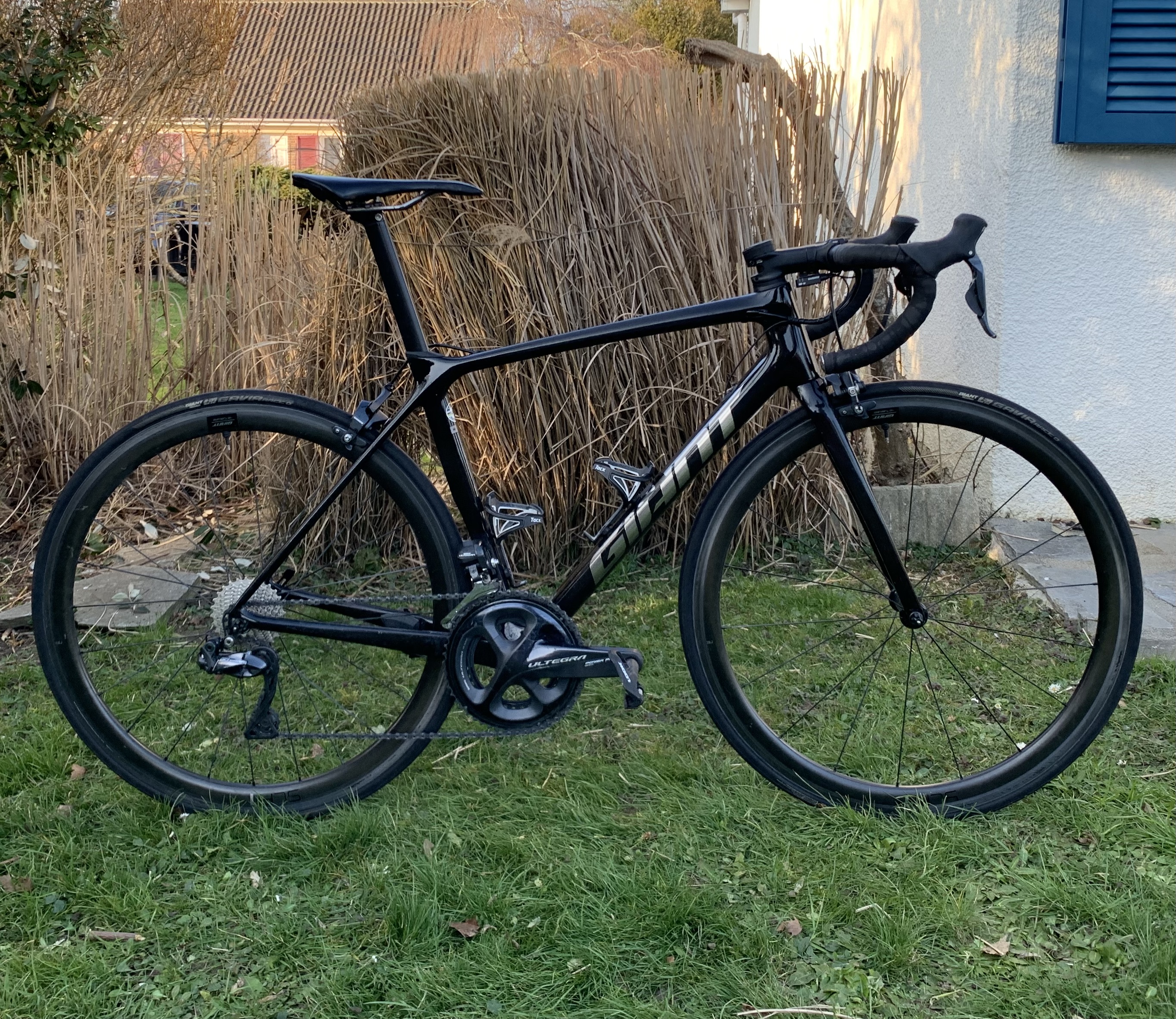 Giant TCR Pro 1 vélo route carbone occasion négocié 213bike